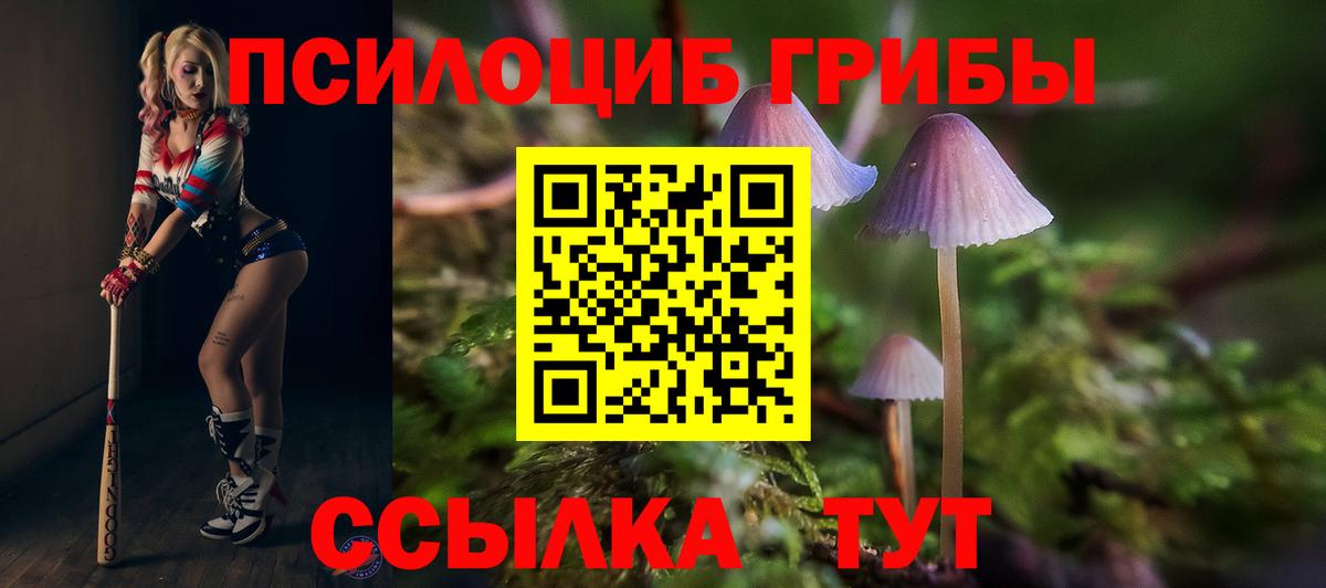 Псилоцибиновые грибы ЛСД  Вход с VPN  Миасс  Галлюциногенные грибы Magic Shrooms 